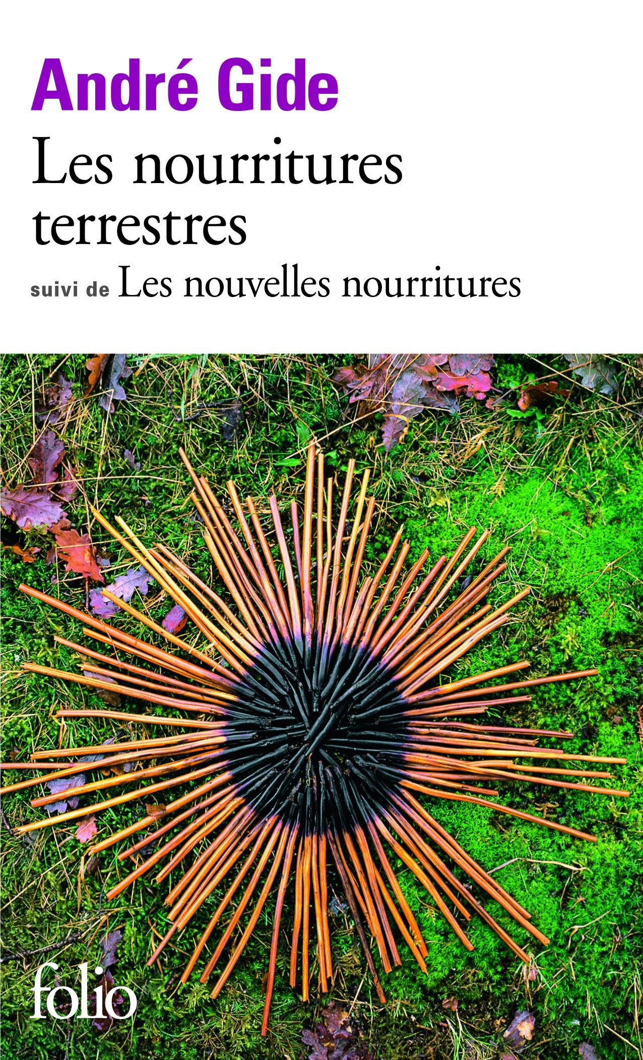Les Nourritures Terrestres
