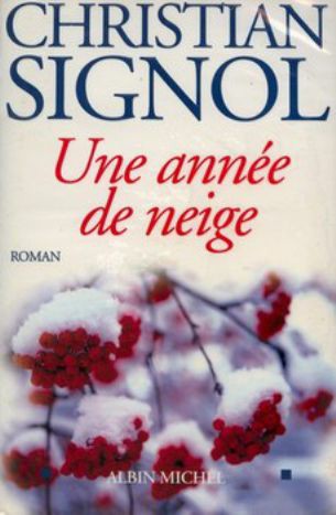 Une année de neige