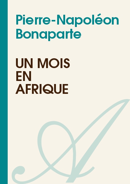 Un mois en Afrique