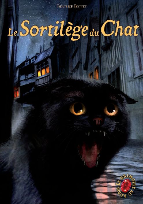 Le sortilège du chat