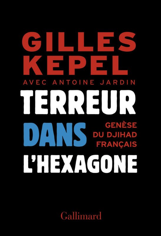 Terreur dans l'Hexagone. Genèse du djihad français