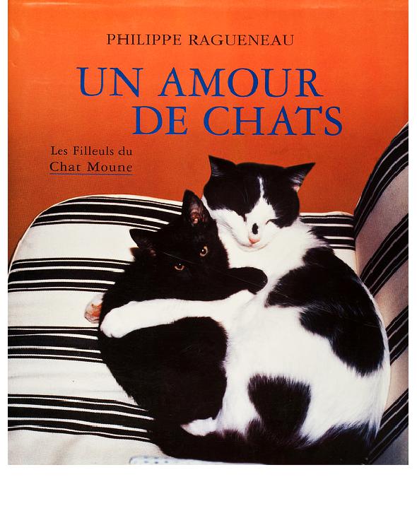 Un amour de chats