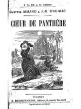 Cœur de panthère