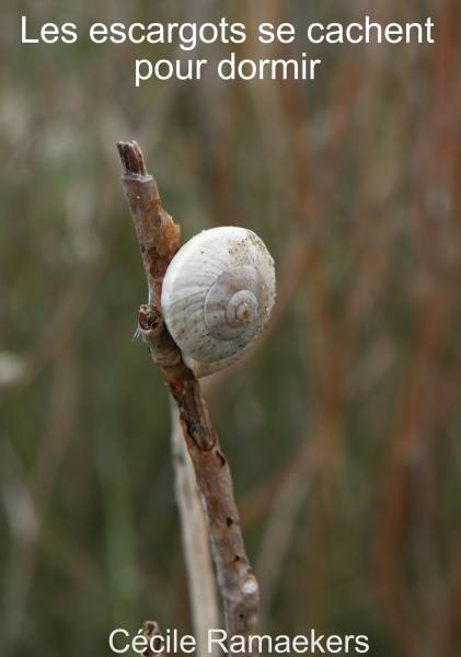 Les escargots se cachent pour dormir