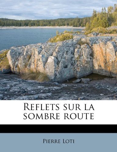 Reflets sur la route sombre