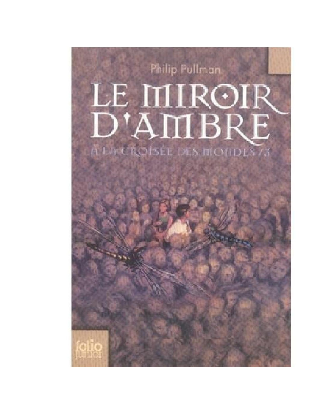Le miroir d'ambre