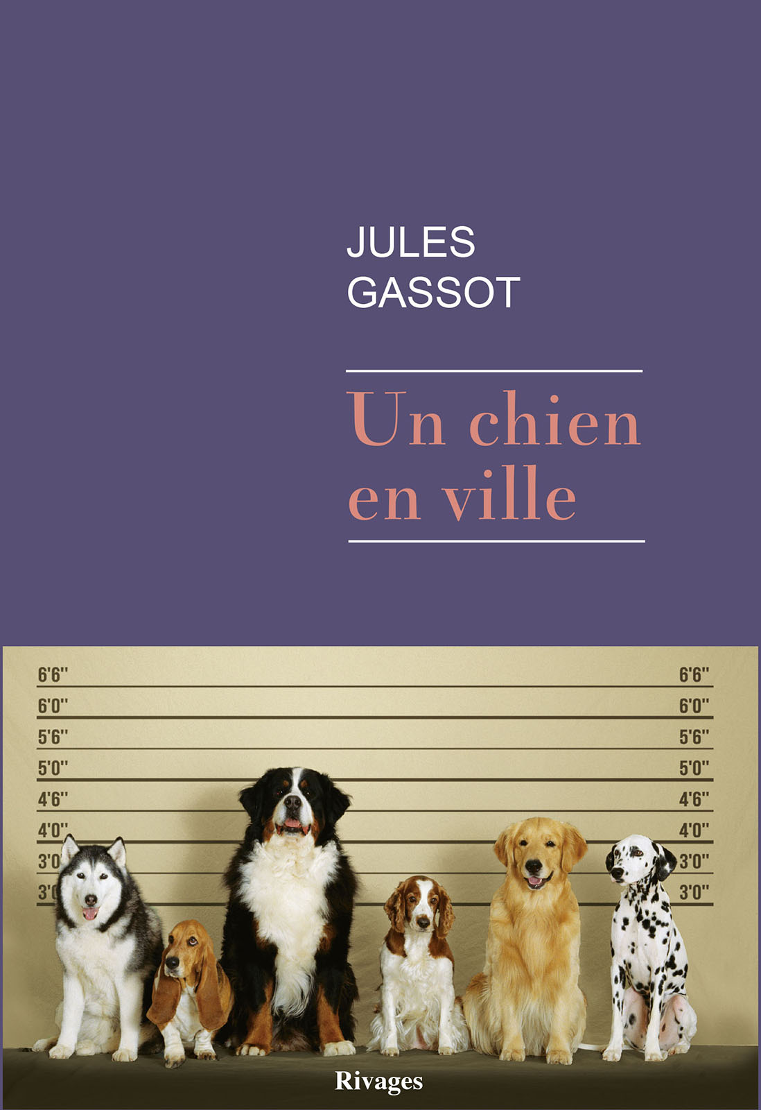 Un chien en ville
