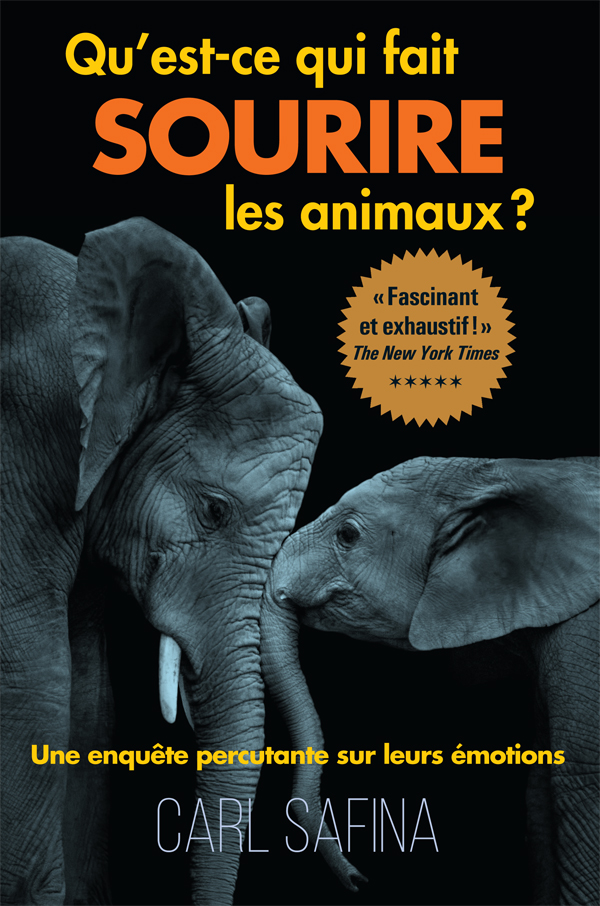 Qu'est-ce qui fait sourire les animaux ?