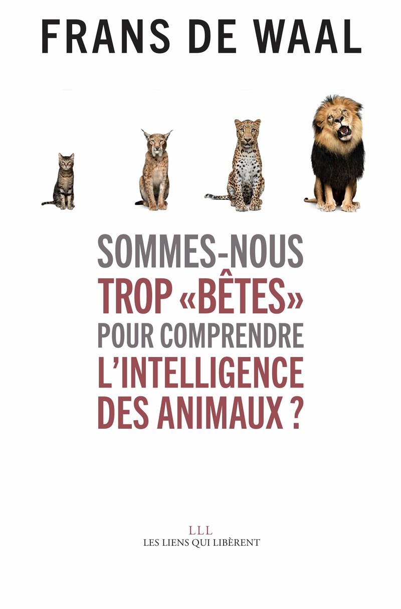 Sommes-nous trop « bêtes » pour comprendre l'intelligence des animaux ?