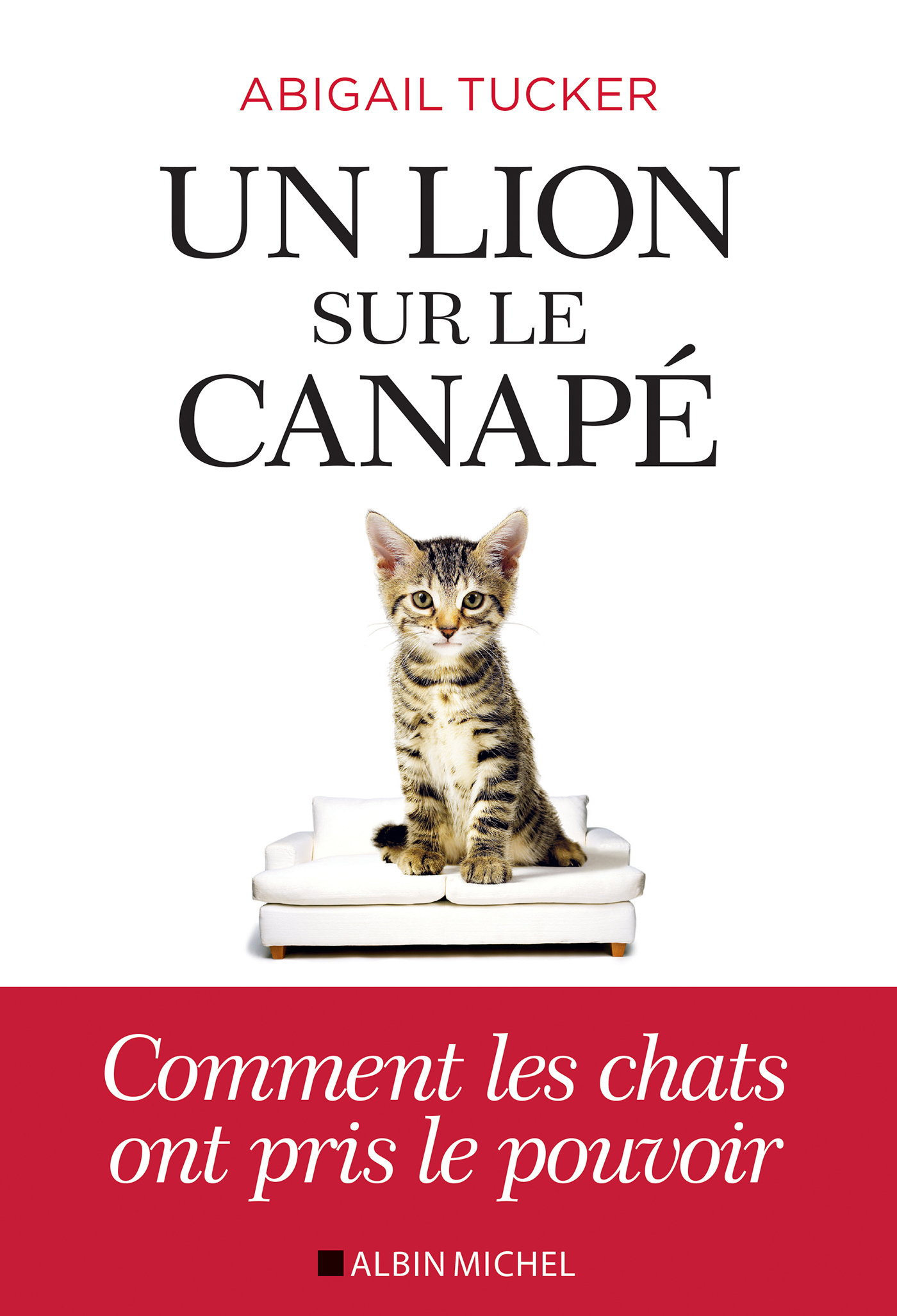 Un lion sur le canapé