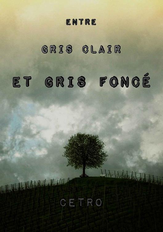 Entre gris clair et gris foncé