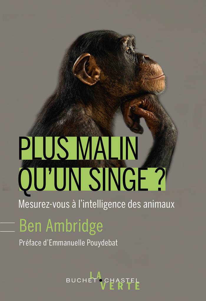 Plus malin qu'un singe ?
