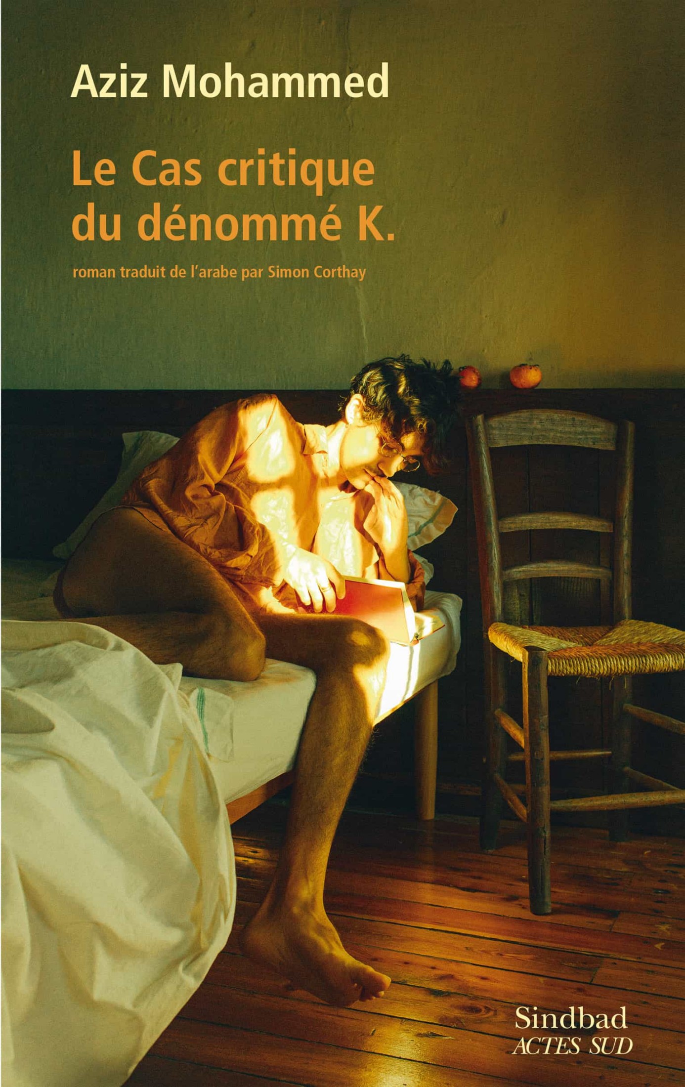 Le Cas critique du dénommé K