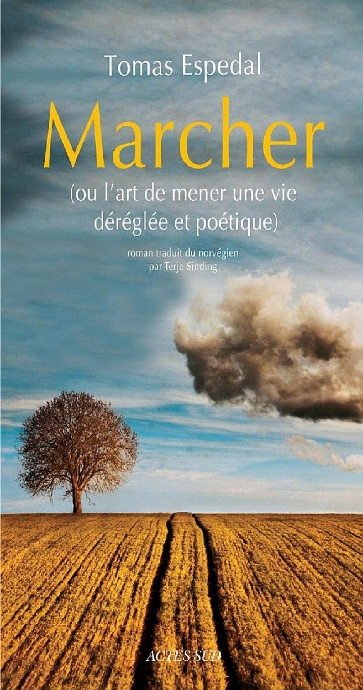 Marcher (ou l'art de mener une vie déréglée & poétique)