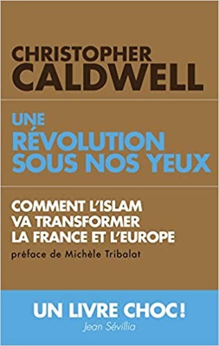 Une révolution sous nos yeux: Comment l'islam va transformer la France et l'Europe