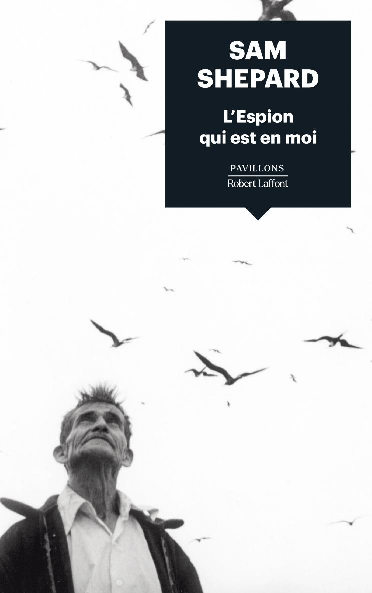 L'Espion qui est en moi