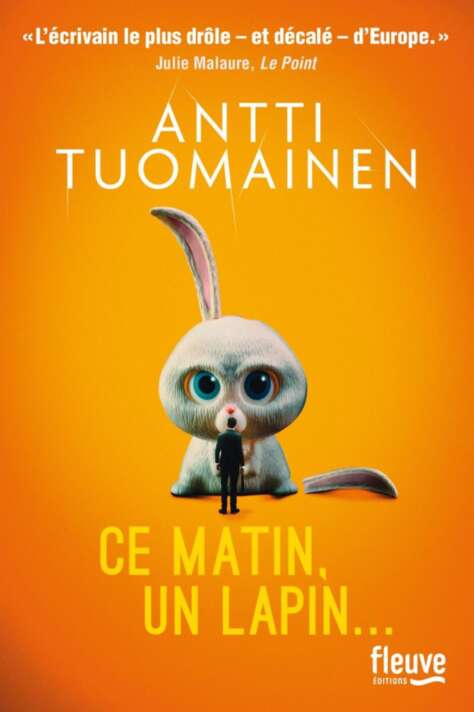 Ce matin, un lapin