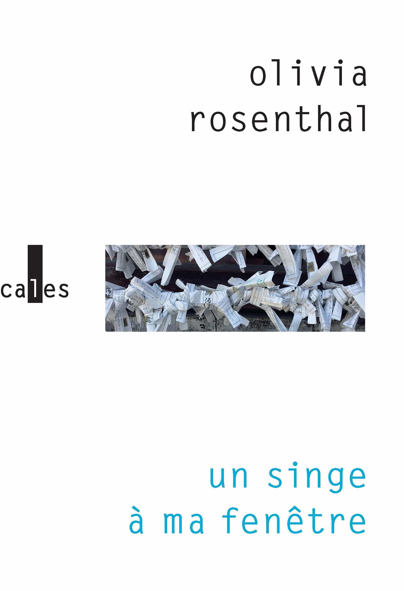 Un singe à ma fenêtre