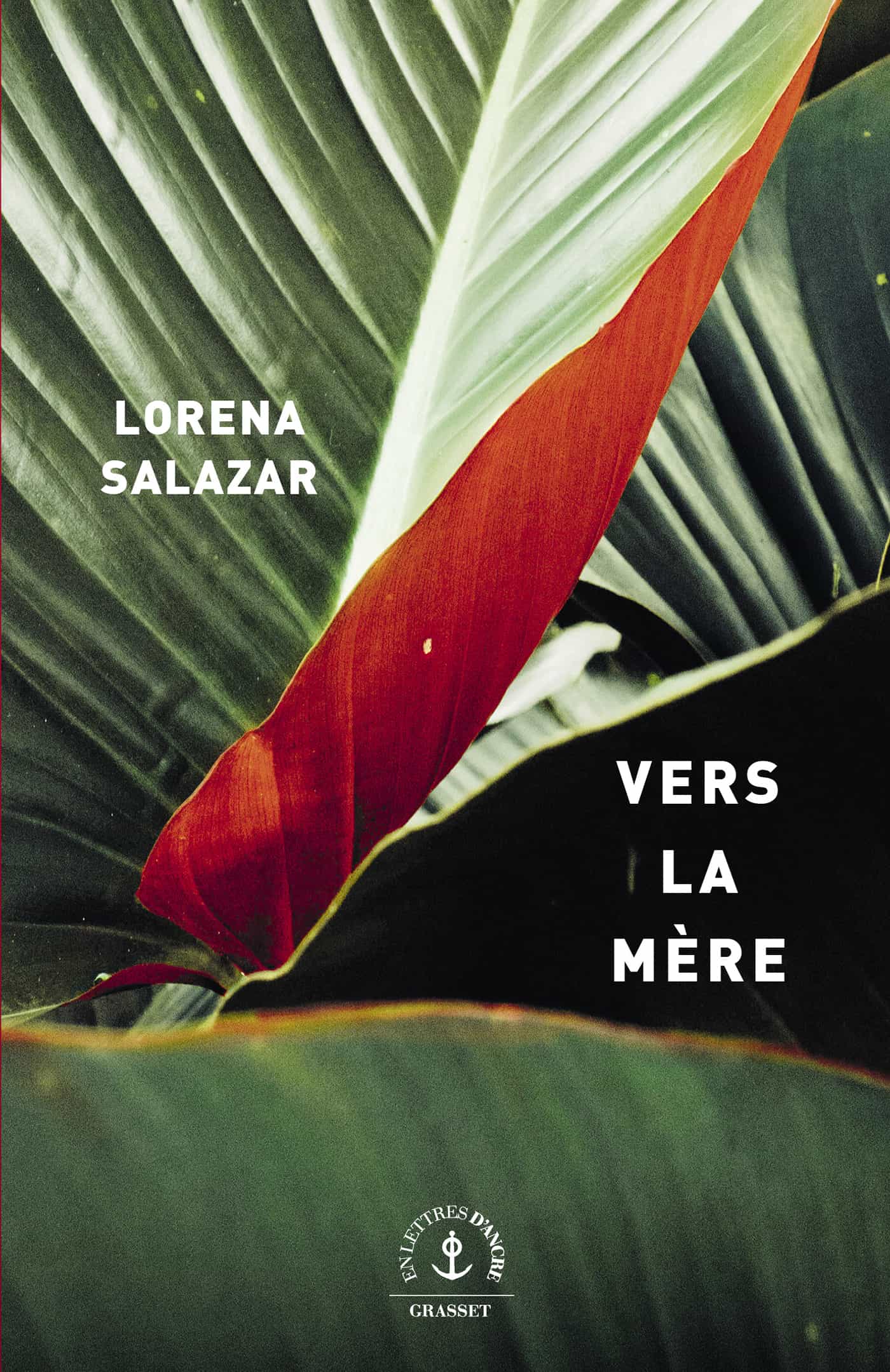 Vers la mère: roman