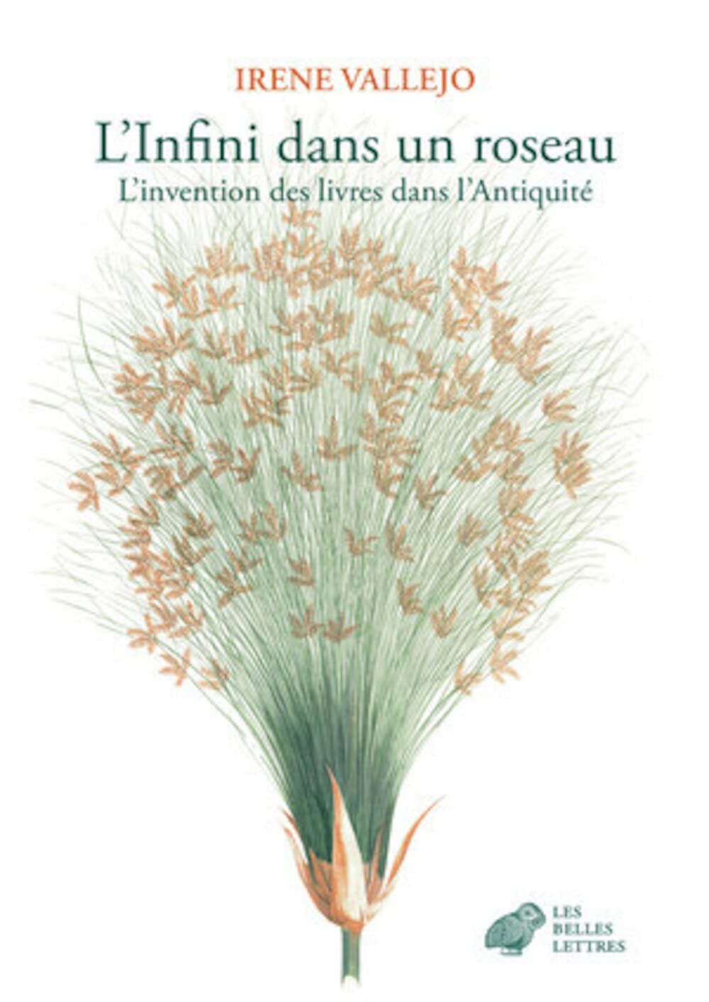 L’Infini dans un roseau: L’invention des livres dans l’Antiquité