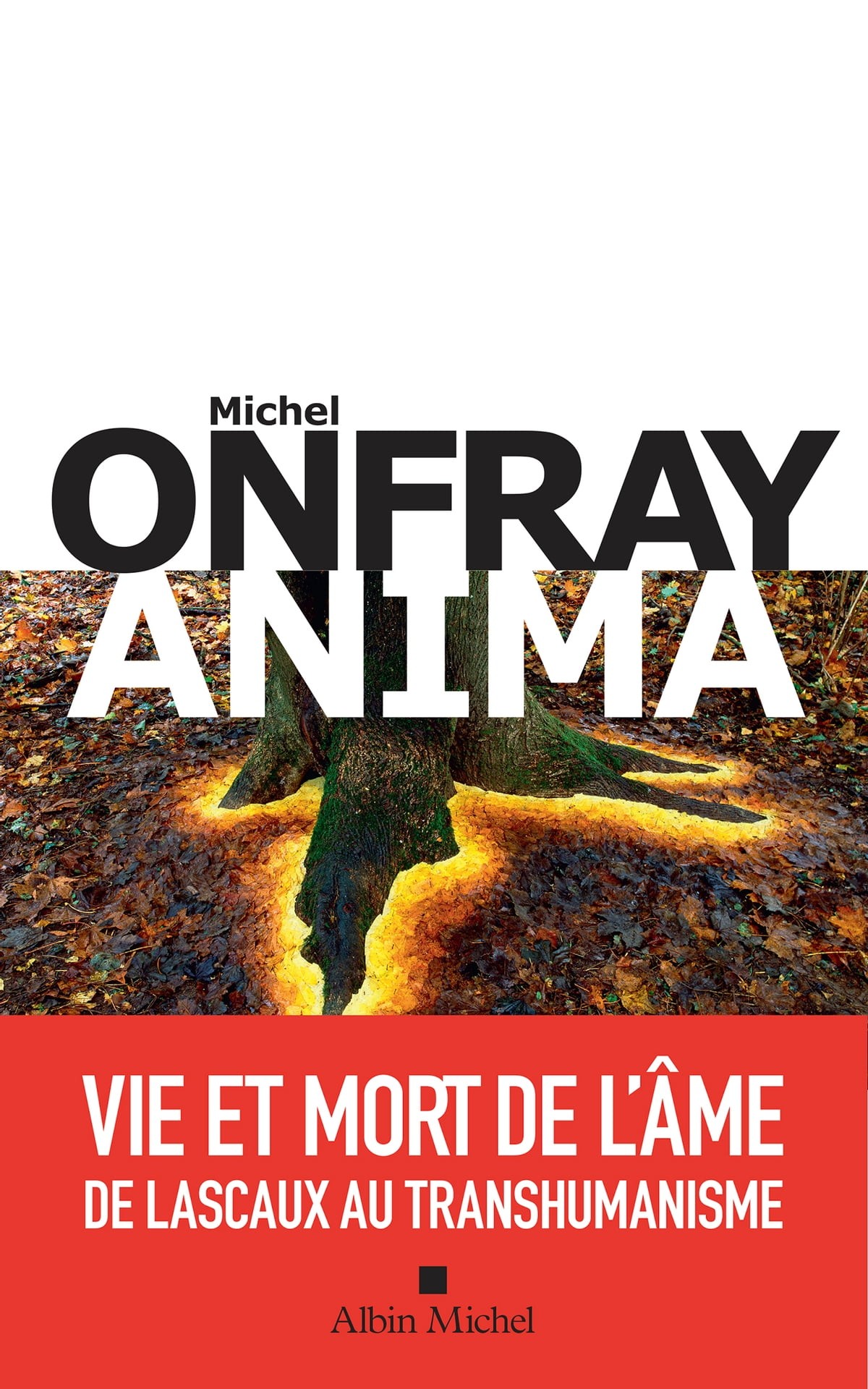 Anima: Vie et mort de l’âme de Lascaux au transhumanisme