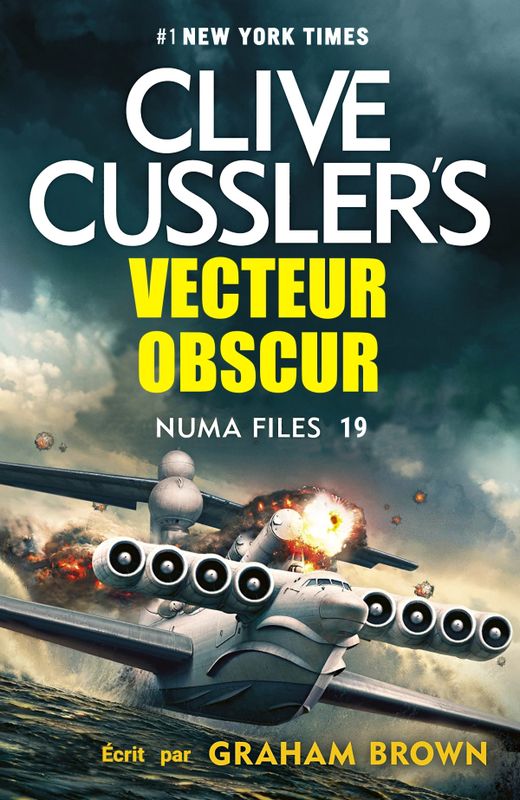 Vecteur obscur