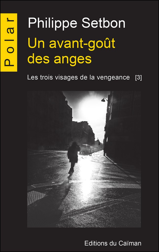 Un avant-goût des anges: Saga policière
