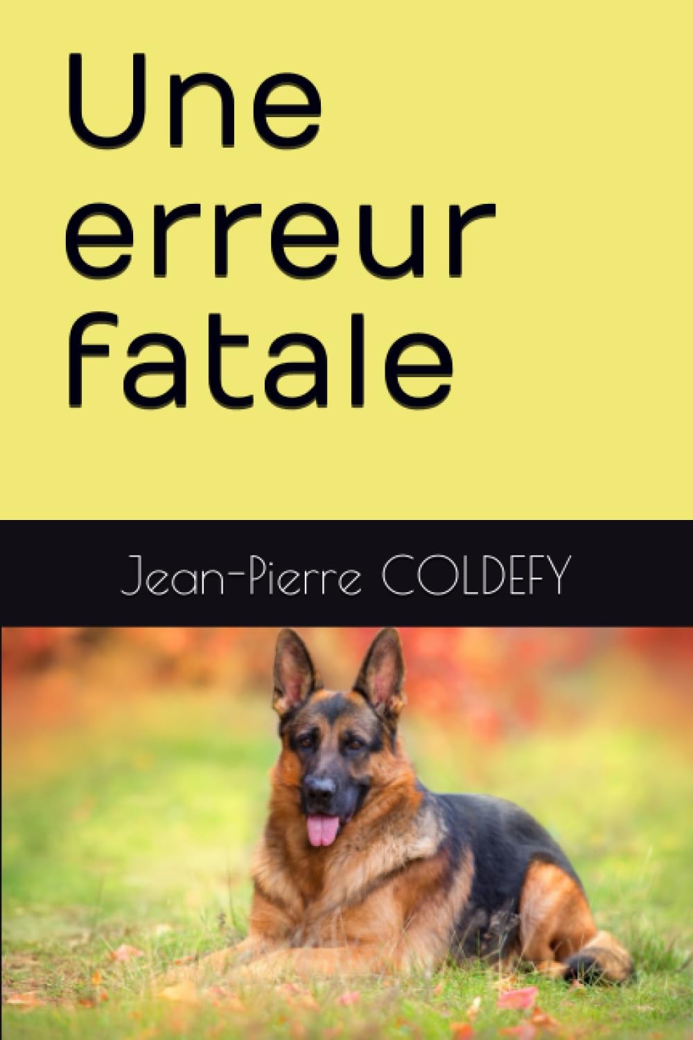 Une erreur fatale