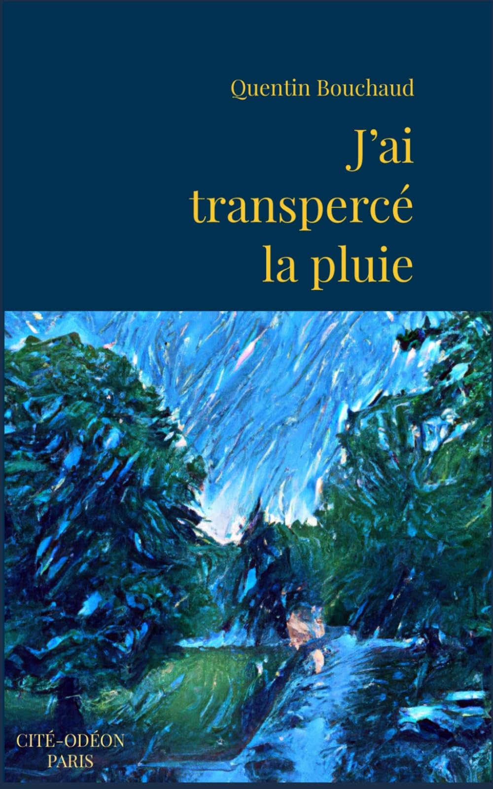 J'ai transpercé la pluie: Récit