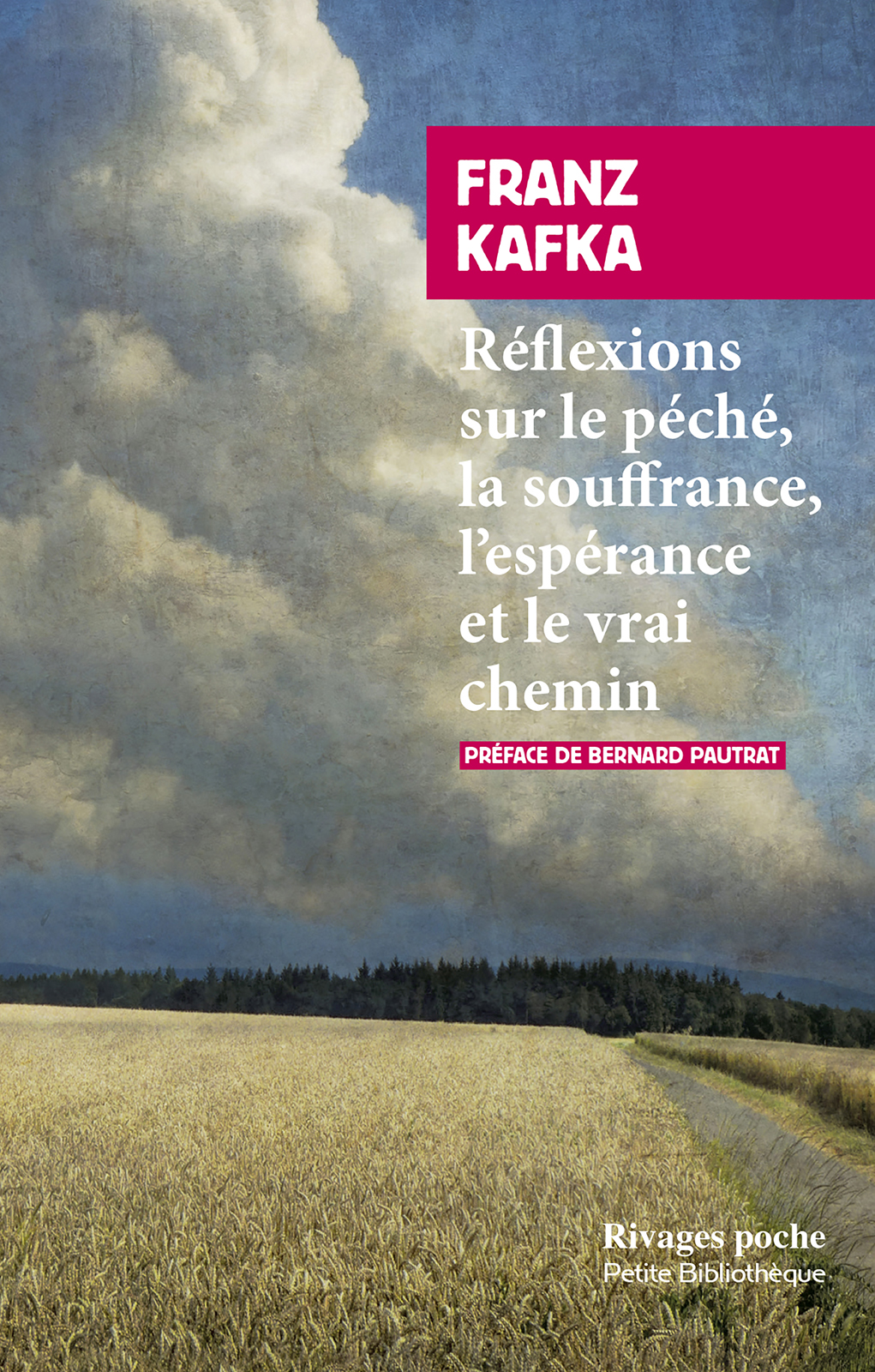 Réflexions sur le péché, la souffrance, l'espérance et le vrai chemin