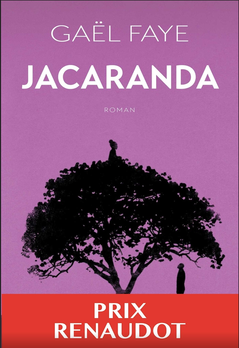 Jacaranda