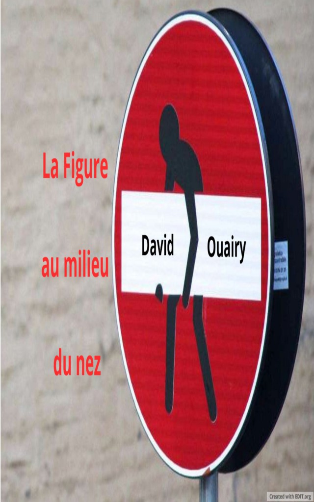 La Figure au milieu du nez (French Edition)