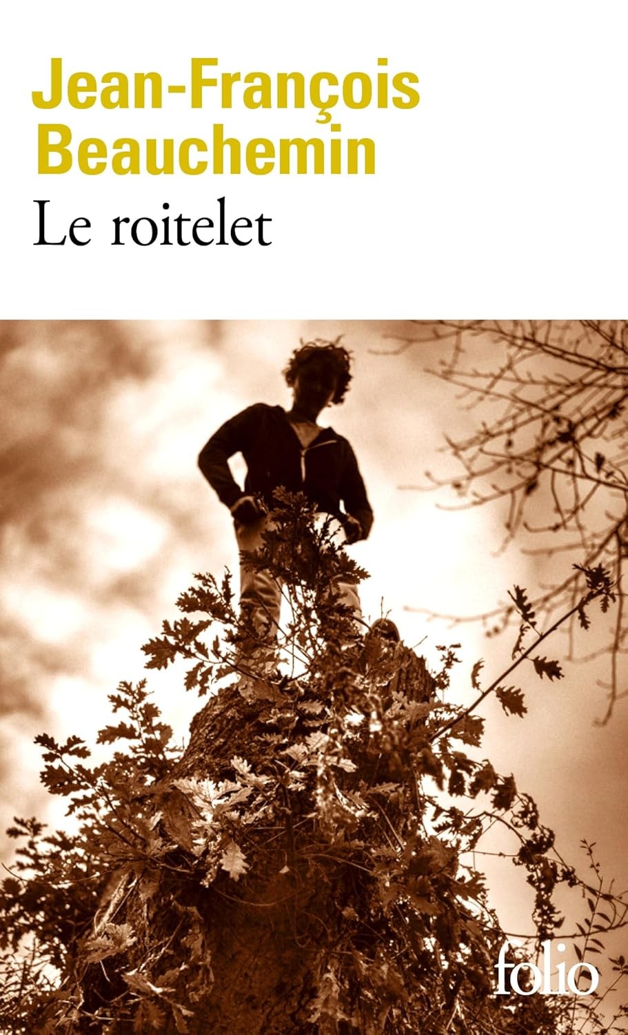 Le Roitelet