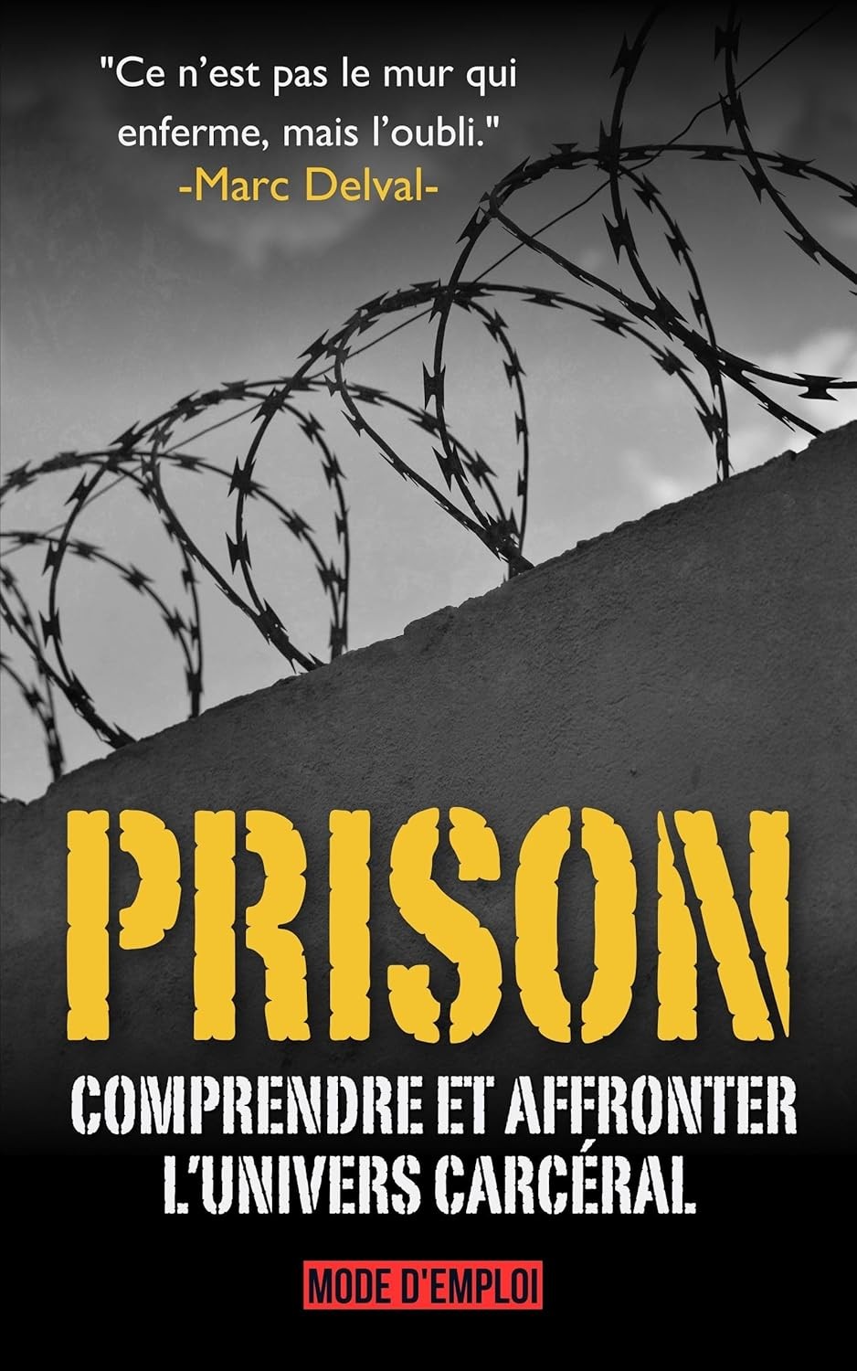 Prison: Mode d’emploi , Guide pour comprendre et affronter l’univers carcéral