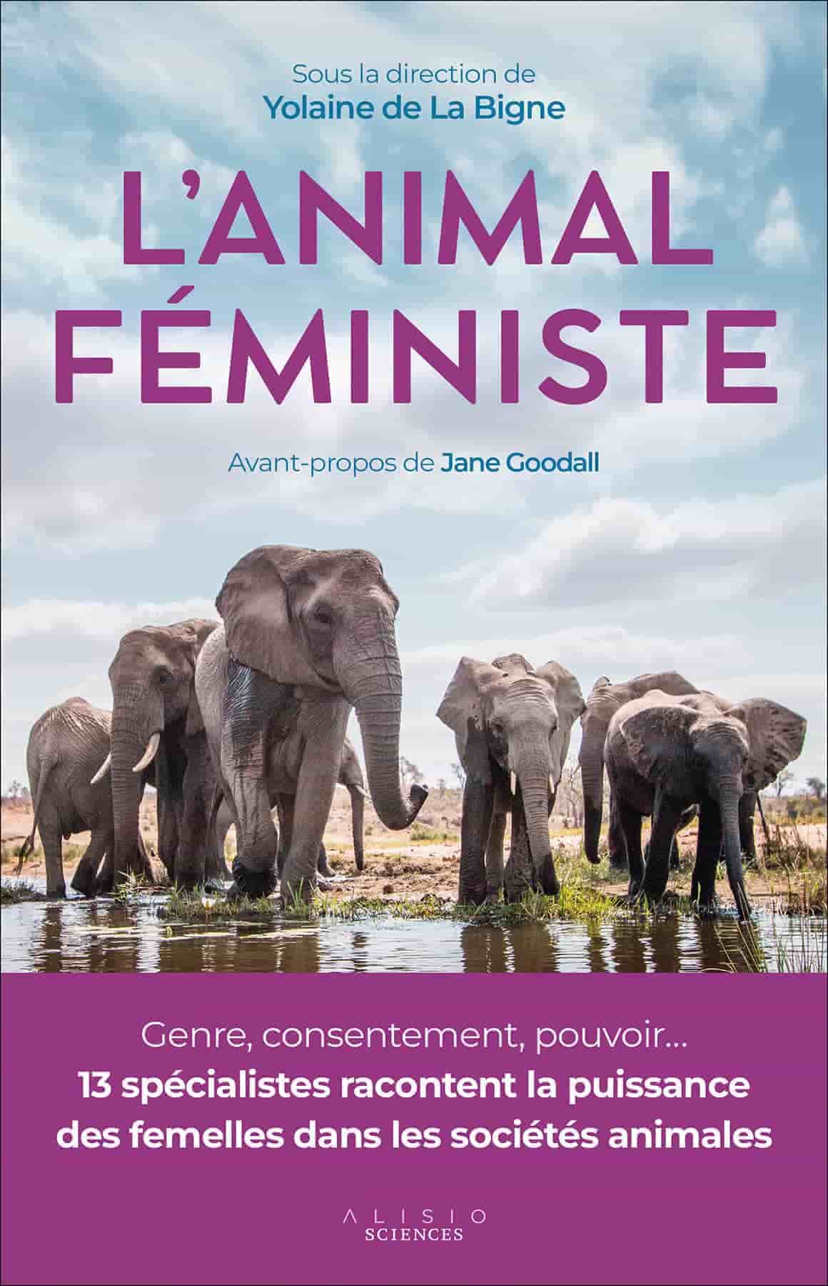 L'animal féministe : Genre, consentement, pouvoir.