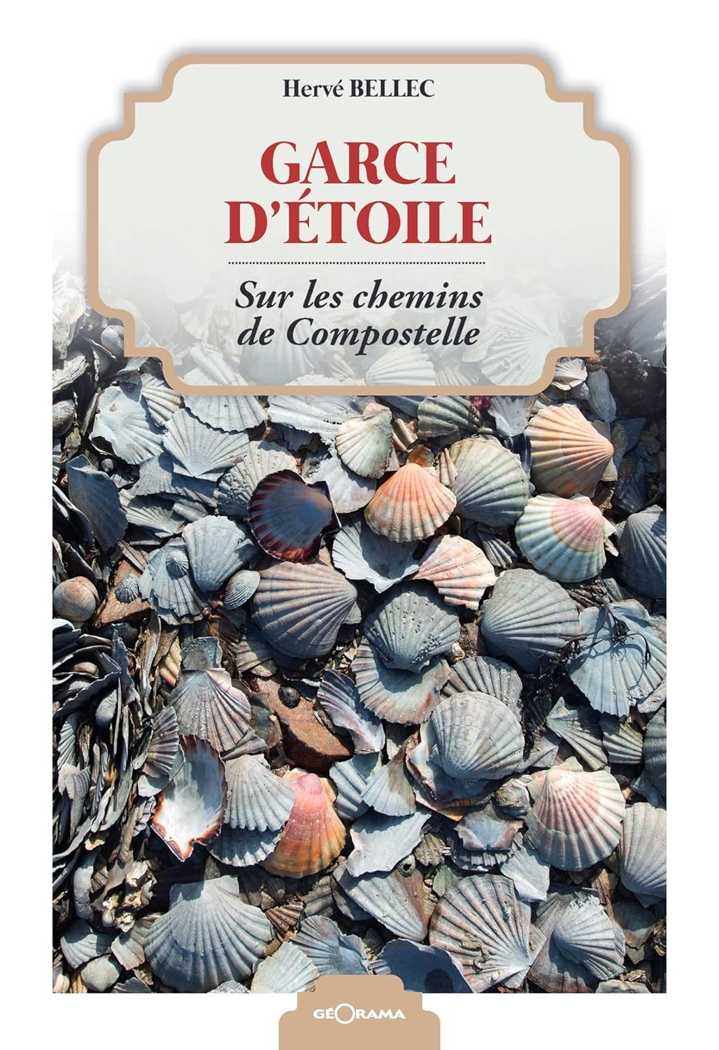Garce d'étoile: Sur les chemins de Compostelle