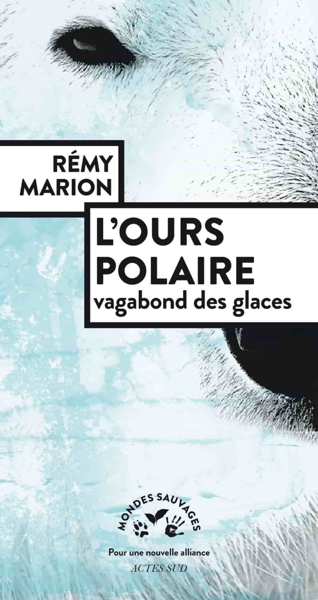L'ours polaire, vagabond des glaces