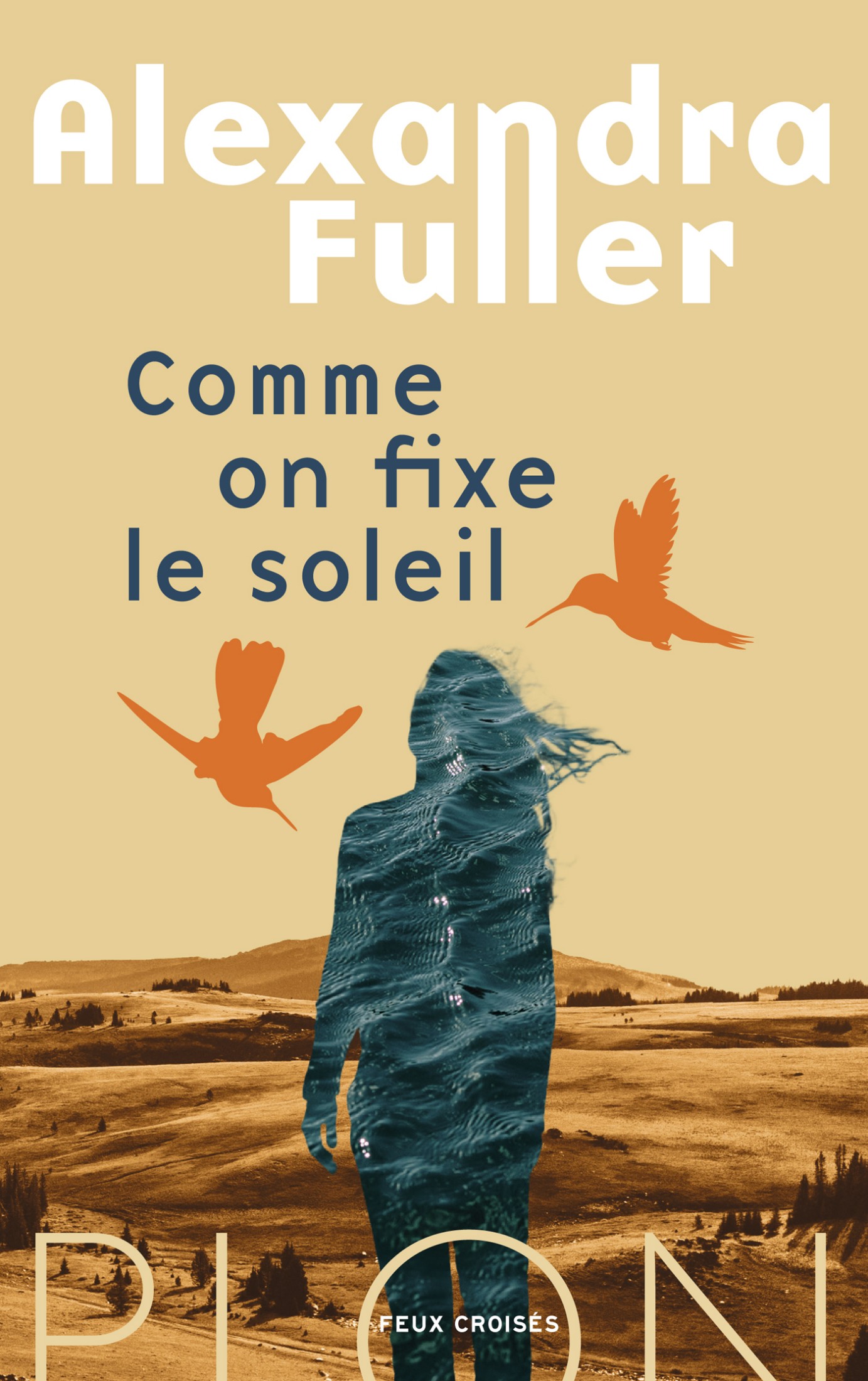 Comme on fixe le soleil