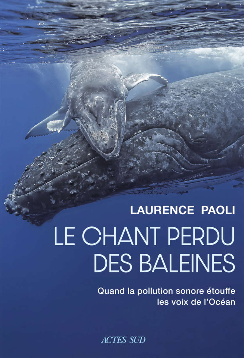 Le chant perdu des baleines