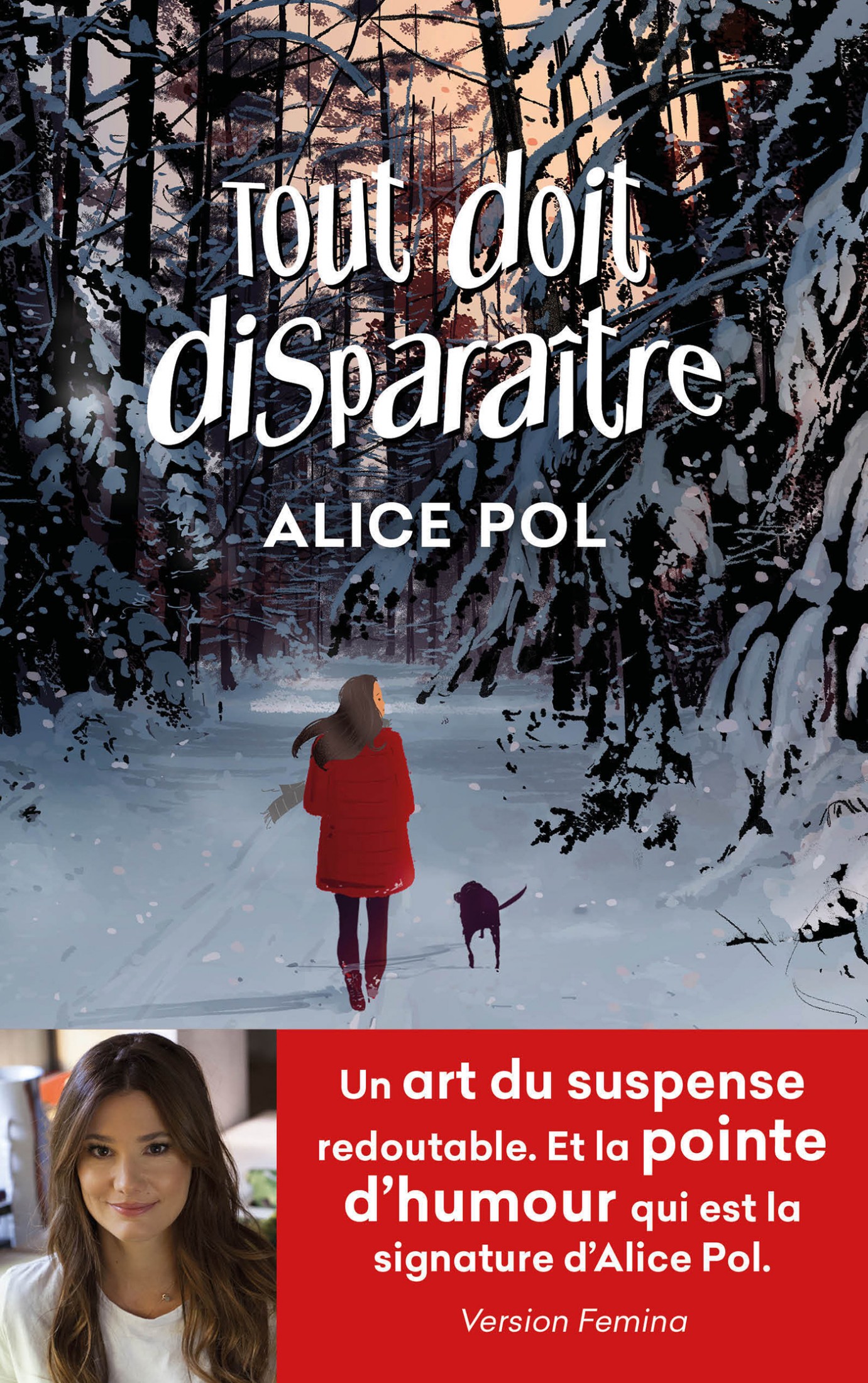 Tout doit disparaître