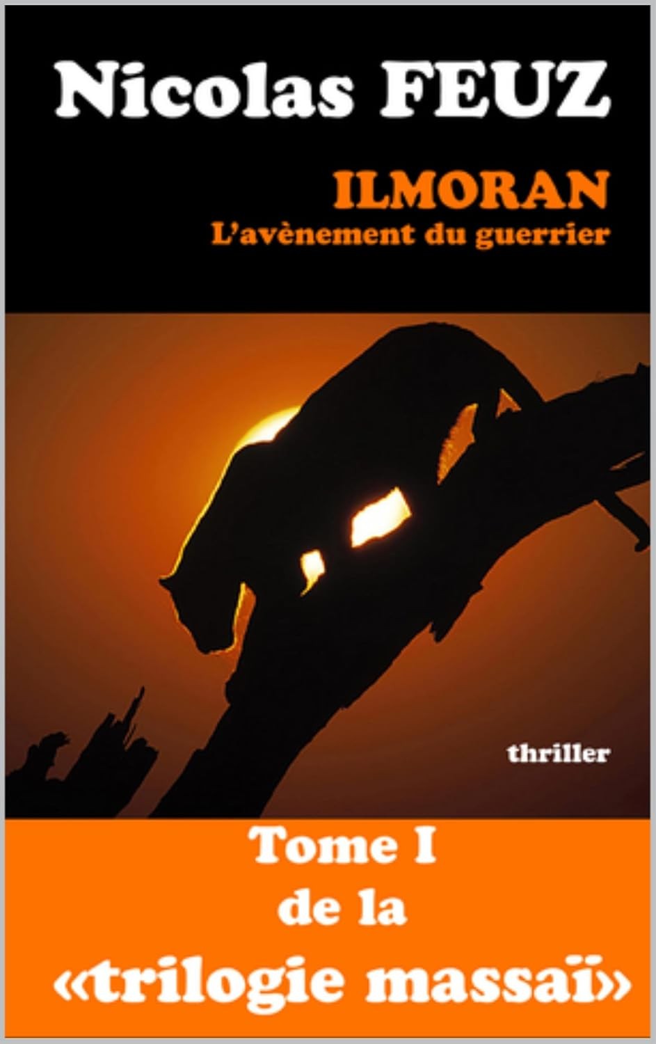 ilmoran, l'avènement du guerrier