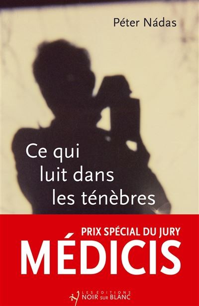 Ce qui luit dans les ténèbres - Prix spécial du jury Médicis 2025