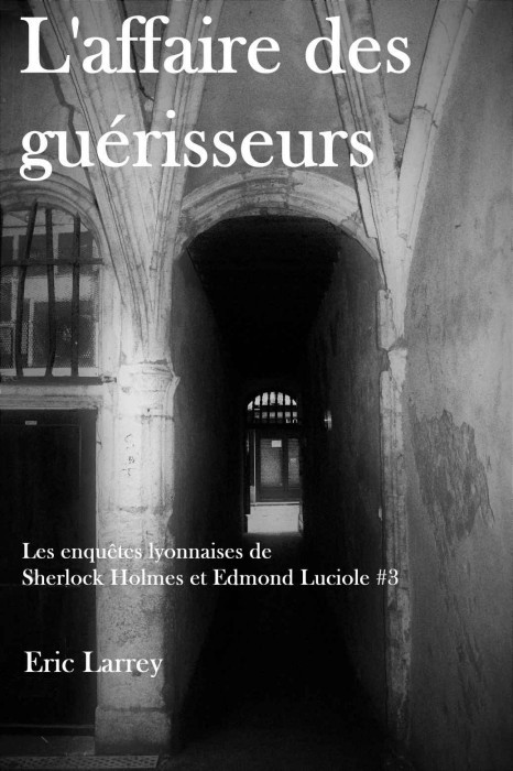 L'affaire des guérisseurs -  - Les enquêtes lyonnaises T03