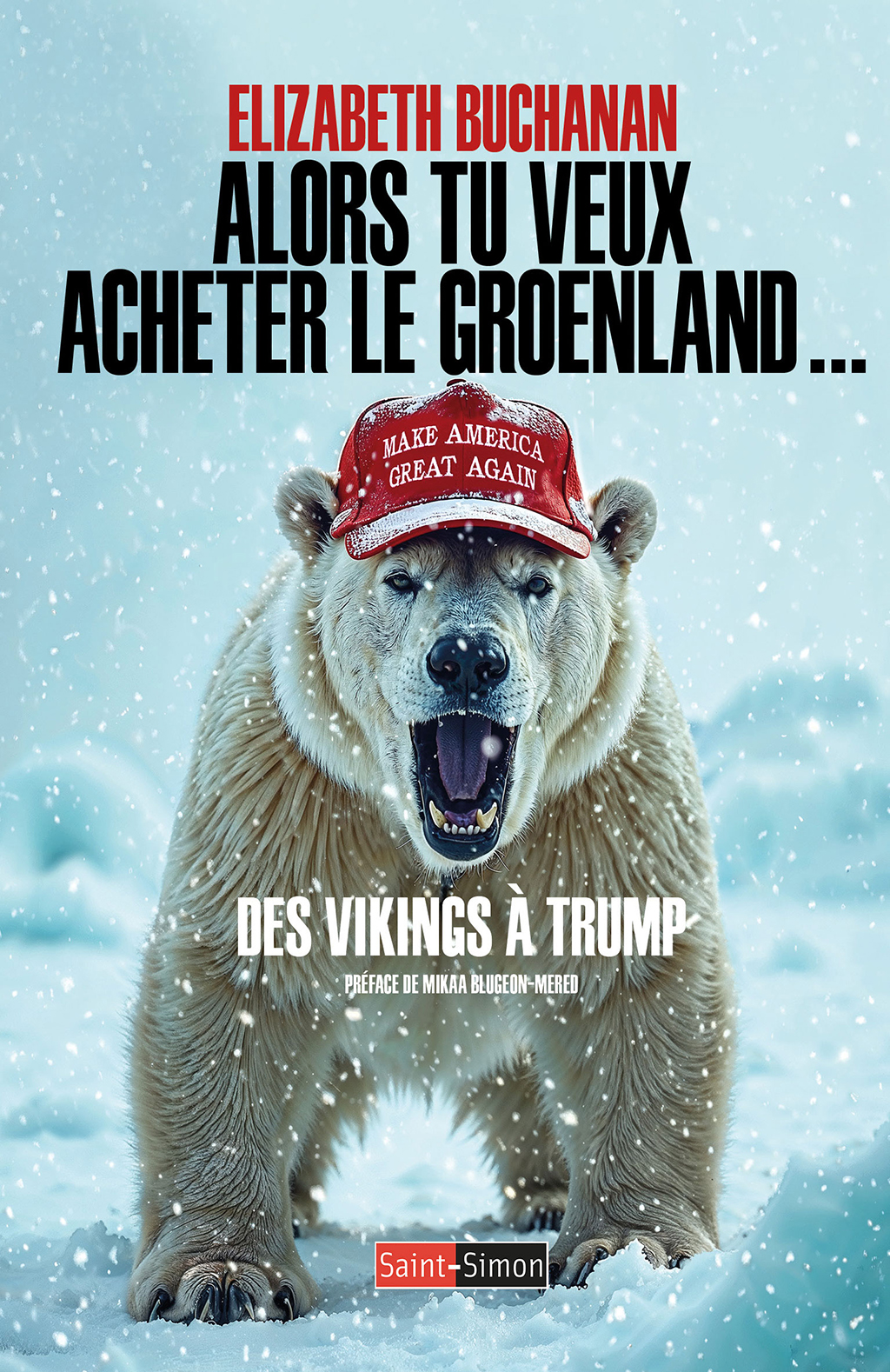 Alors tu veux acheter le Groenland !: des Vikings à Trump
