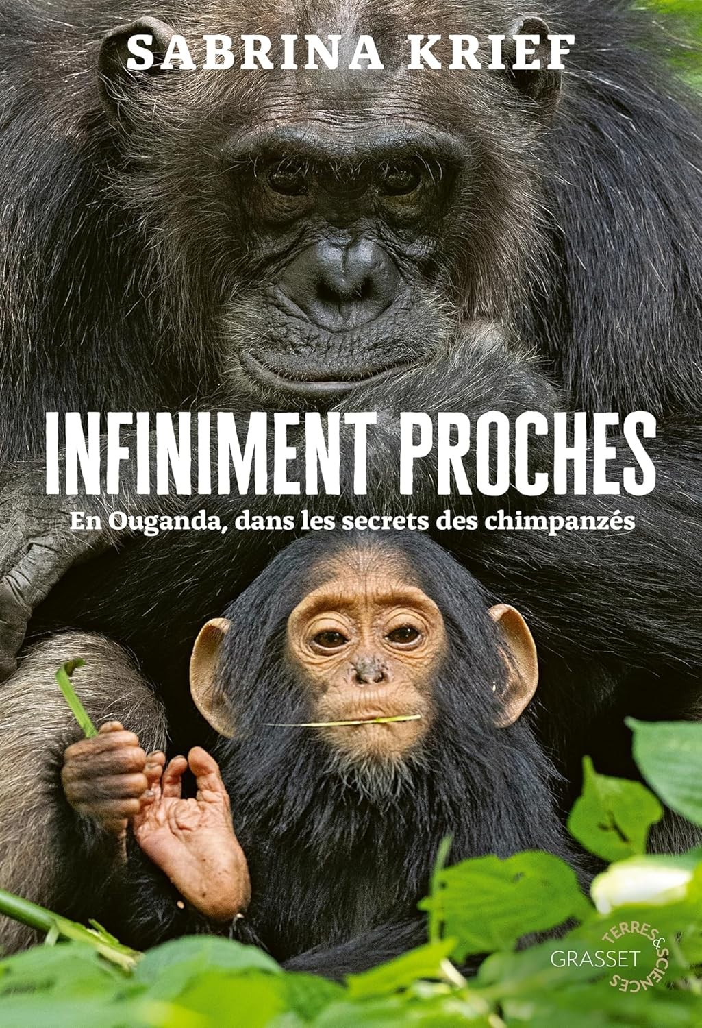 Infiniment proches: En Ouganda, dans les secrets des chimpanzés