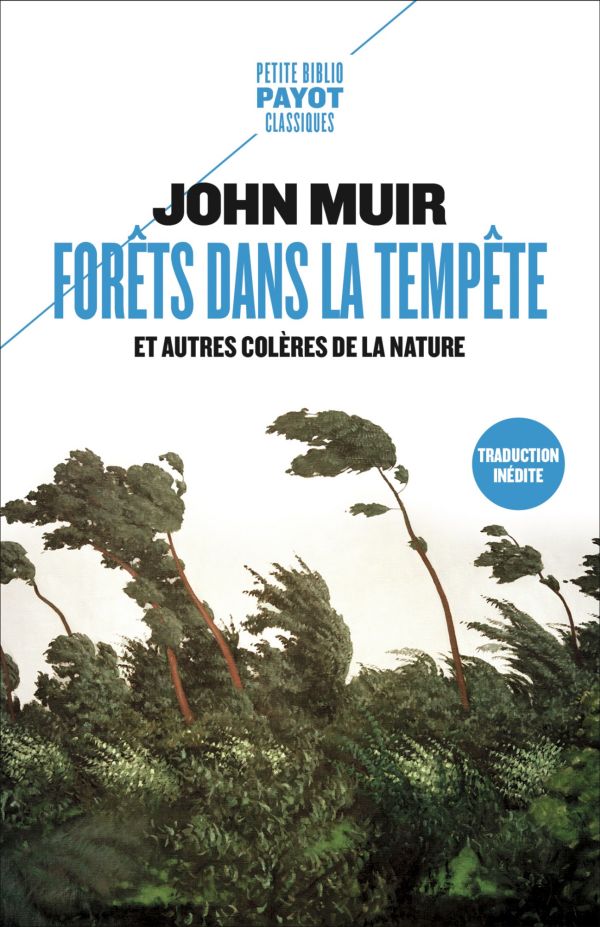 Forêts dans la tempête: et autres colères de la nature