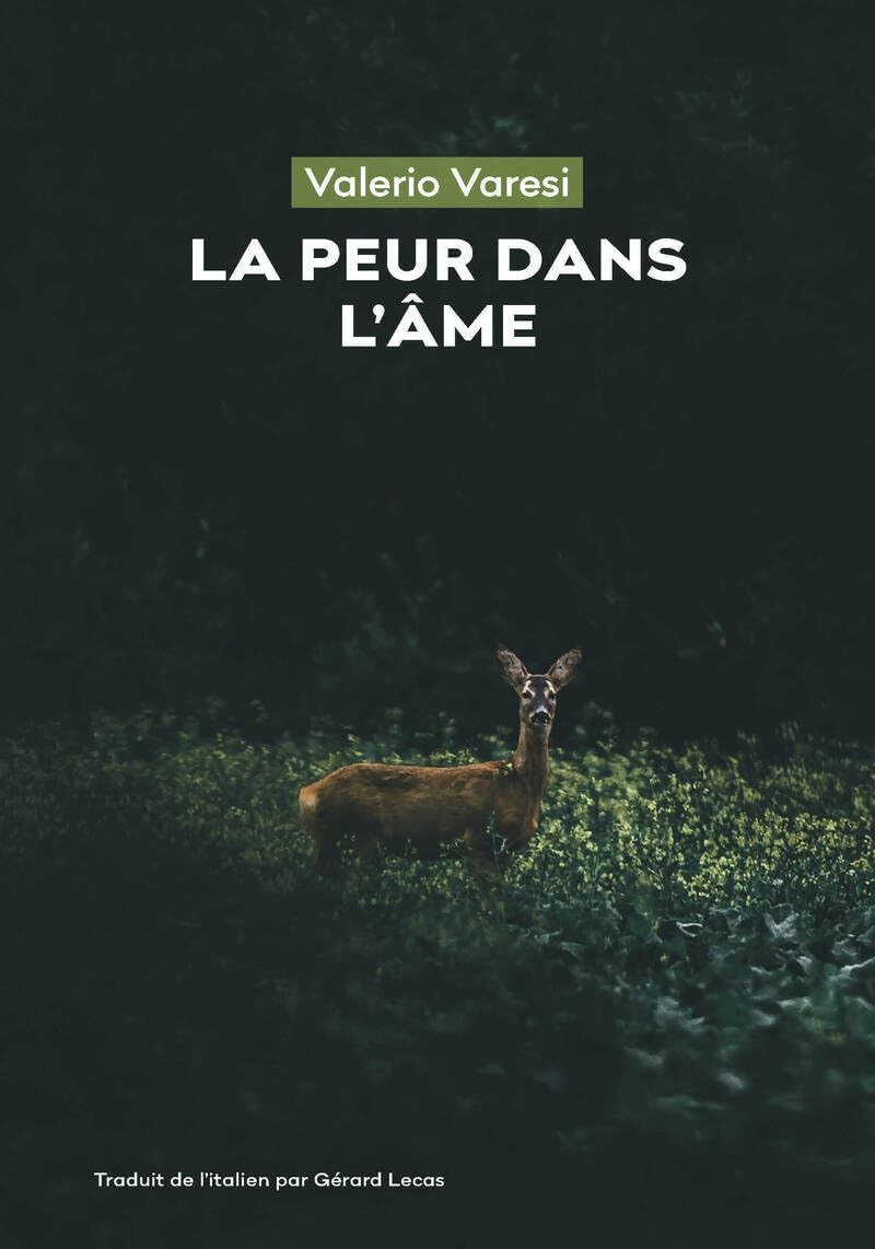 La Peur dans l'âme
