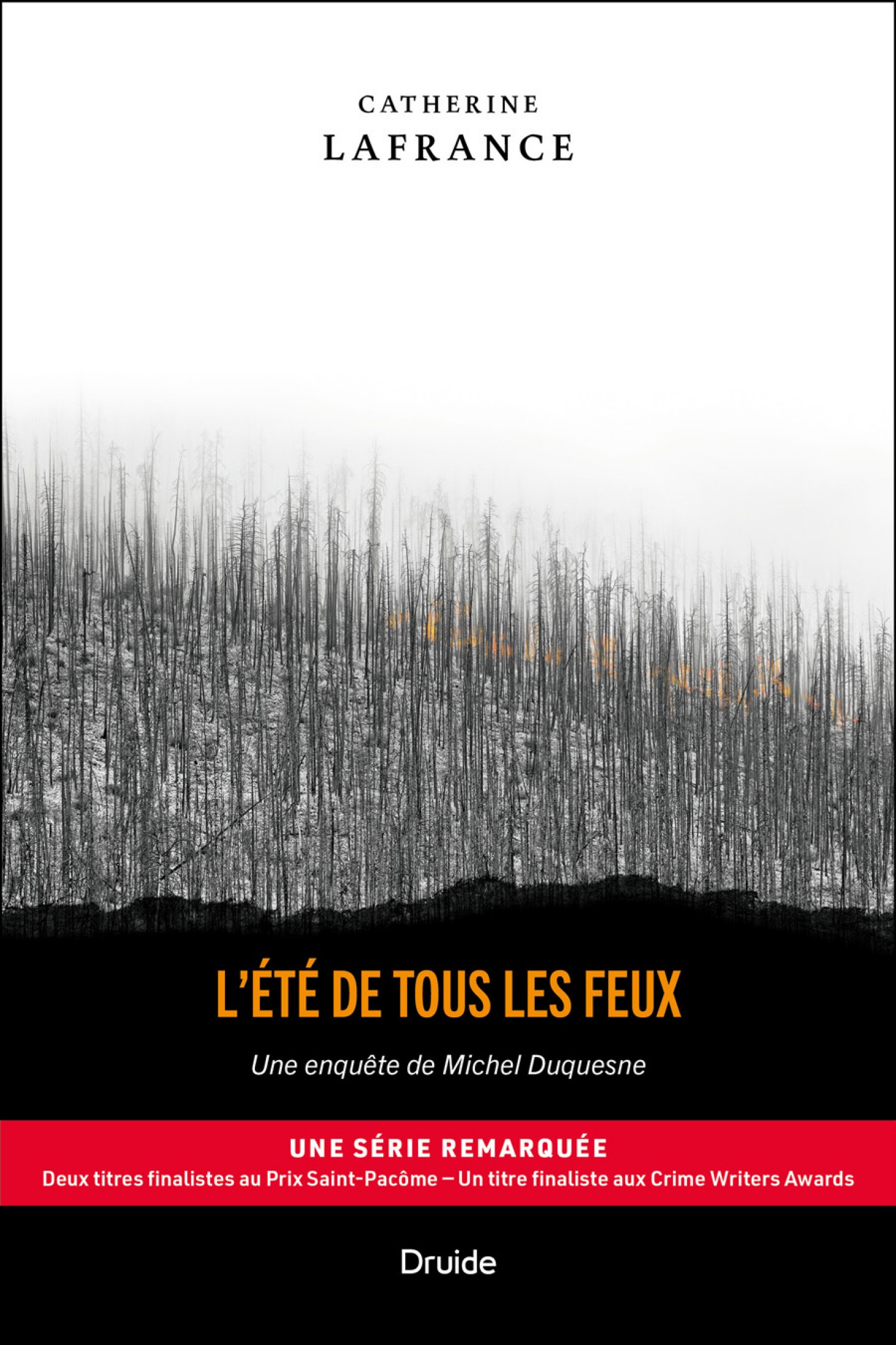 L'été de tous les feux: Une enquête de Michel Duquesne