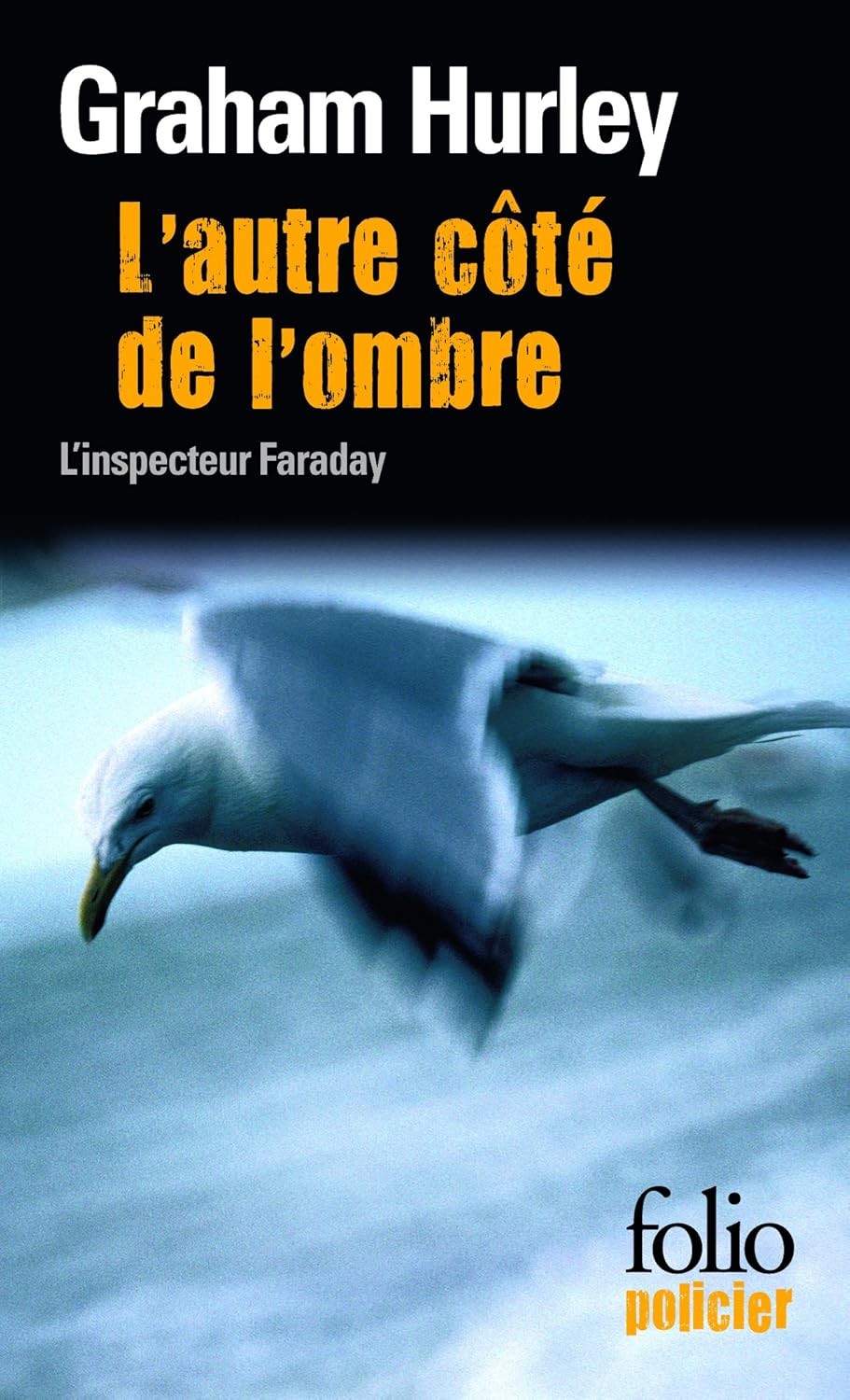 L'autre côté de l'ombre : Inspecteur Faraday T08