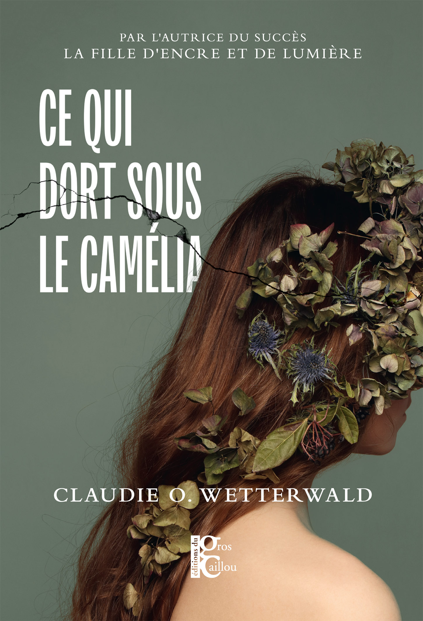 Ce qui dort sous le camélia